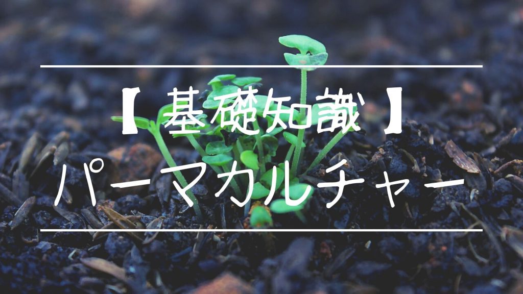 【基礎知識】パーマカルチャーとは？