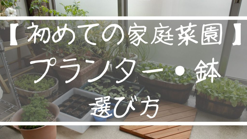 【初めての家庭菜園】プランター・鉢の選び方（サイズや材質などのポイントを解説）