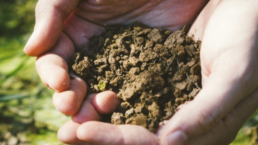 【団粒構造とは？】メリットや単粒構造との違いなどを解説